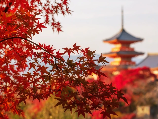The Only Country Celebrating the Autumn Equinox as a National Holiday