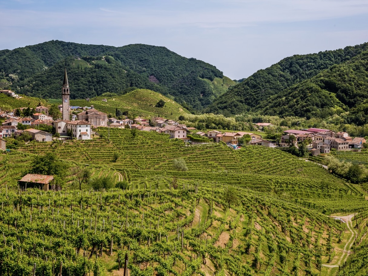 Italian Wine Beyond Tuscany: 3 Other Regions Worth Drinking In