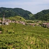 Italian Wine Beyond Tuscany: 3 Other Regions Worth Drinking In