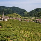 Italian Wine Beyond Tuscany: 3 Other Regions Worth Drinking In