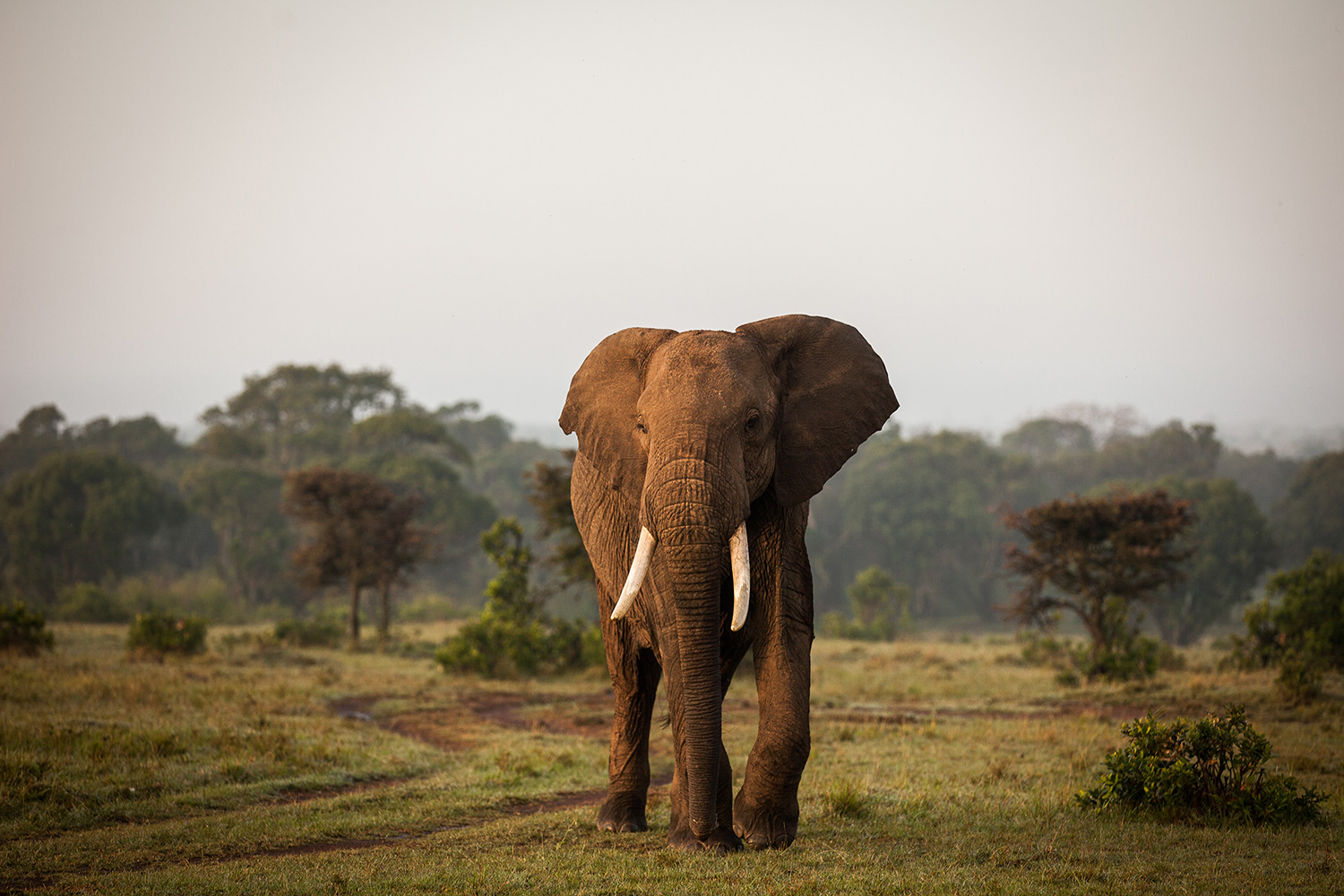 Tanzania