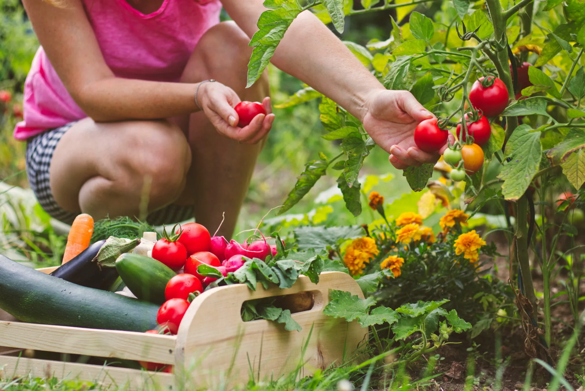 FROM THE GARDEN TO THE ITALIAN TABLE