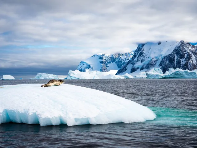 A True Expedition: Sailing the Far Side of Antarctica