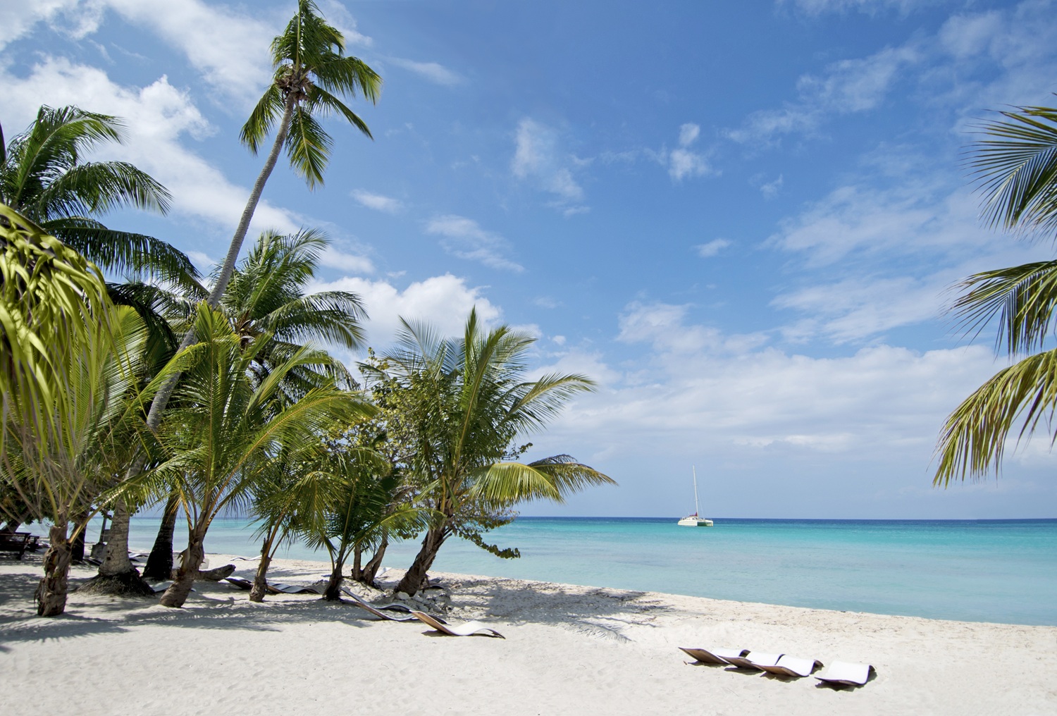 Cruise from $199 + Kids Sail Free* + Up to $500 OBC**