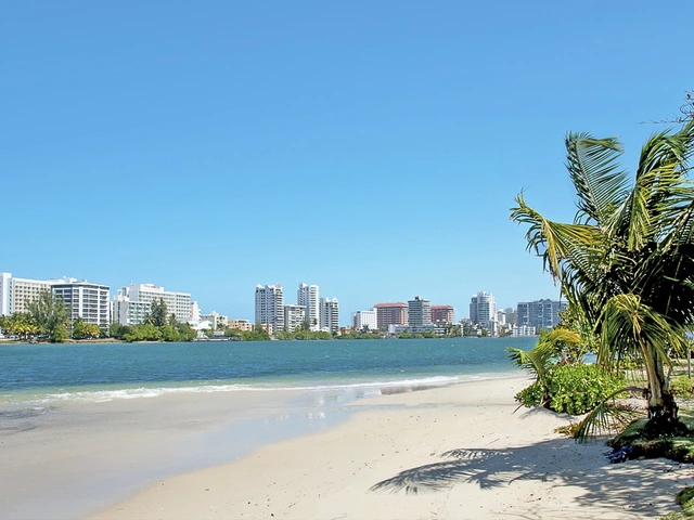 Drinks & Wifi Included: Up to 35% off Cruises* + Kids Sail Free*