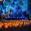 Sea Turtles, Cenote Symphonies, and Carnival of the Senses: Caribbean Resorts Go Hyper Local