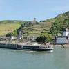 Fly Free Plus Save Thousands on Avalon European River Cruises Next Year