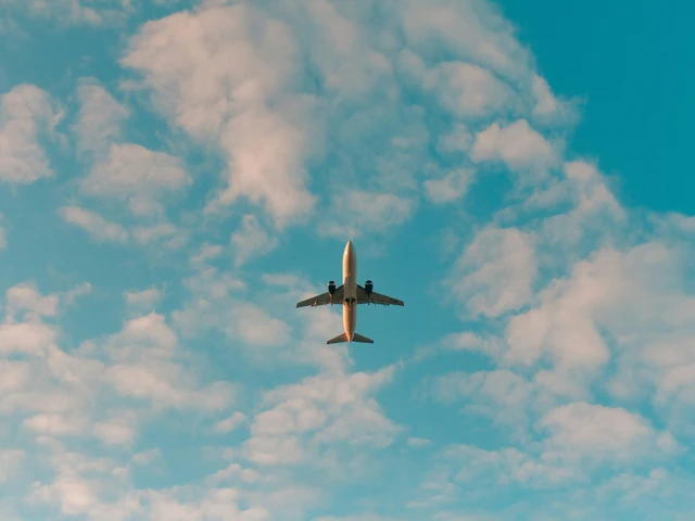 Flights