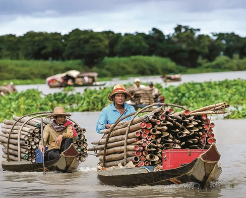 March 15 - Vibrant Wetlands and Emerald Waterways