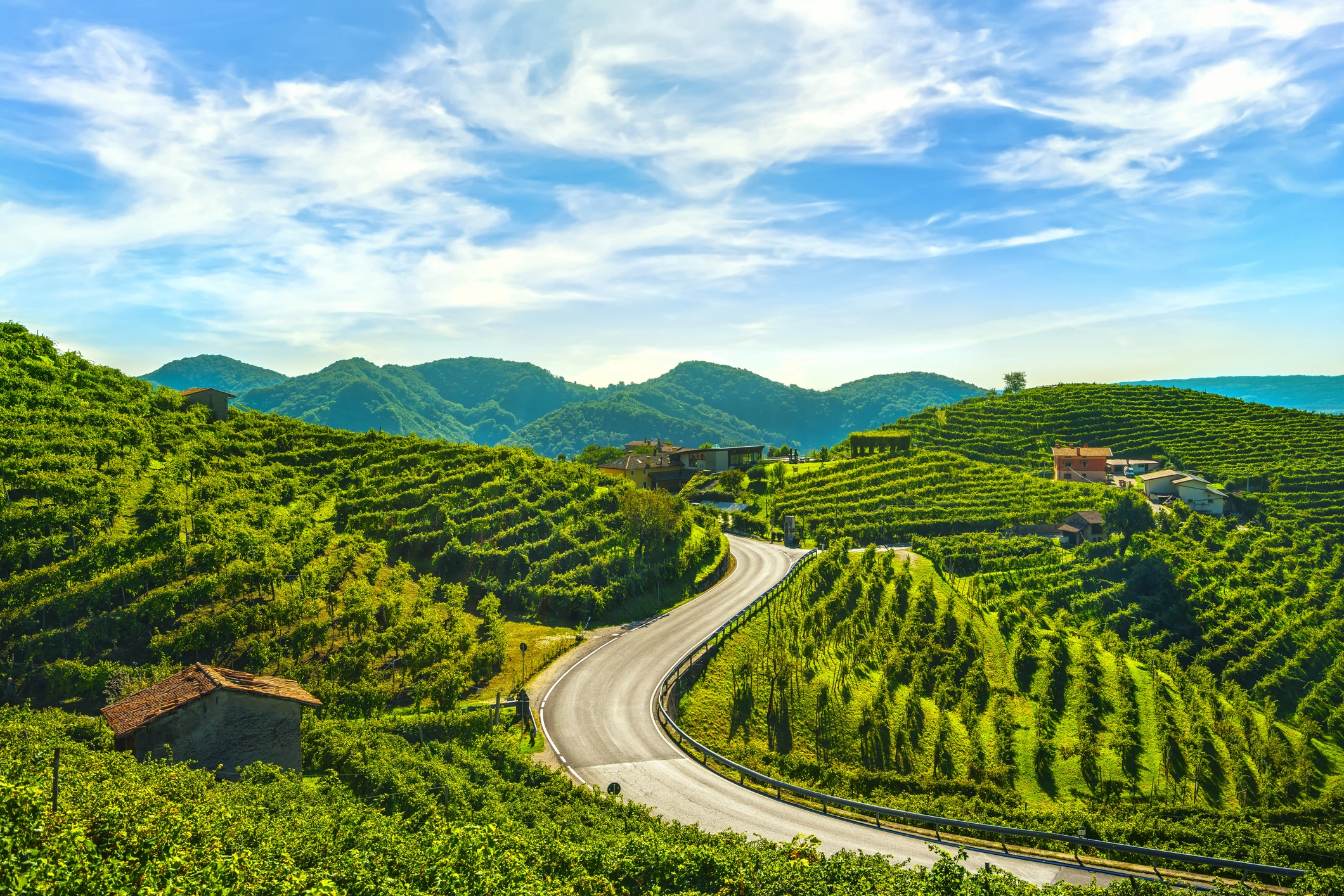 Conegliano (Prosecco Hills)