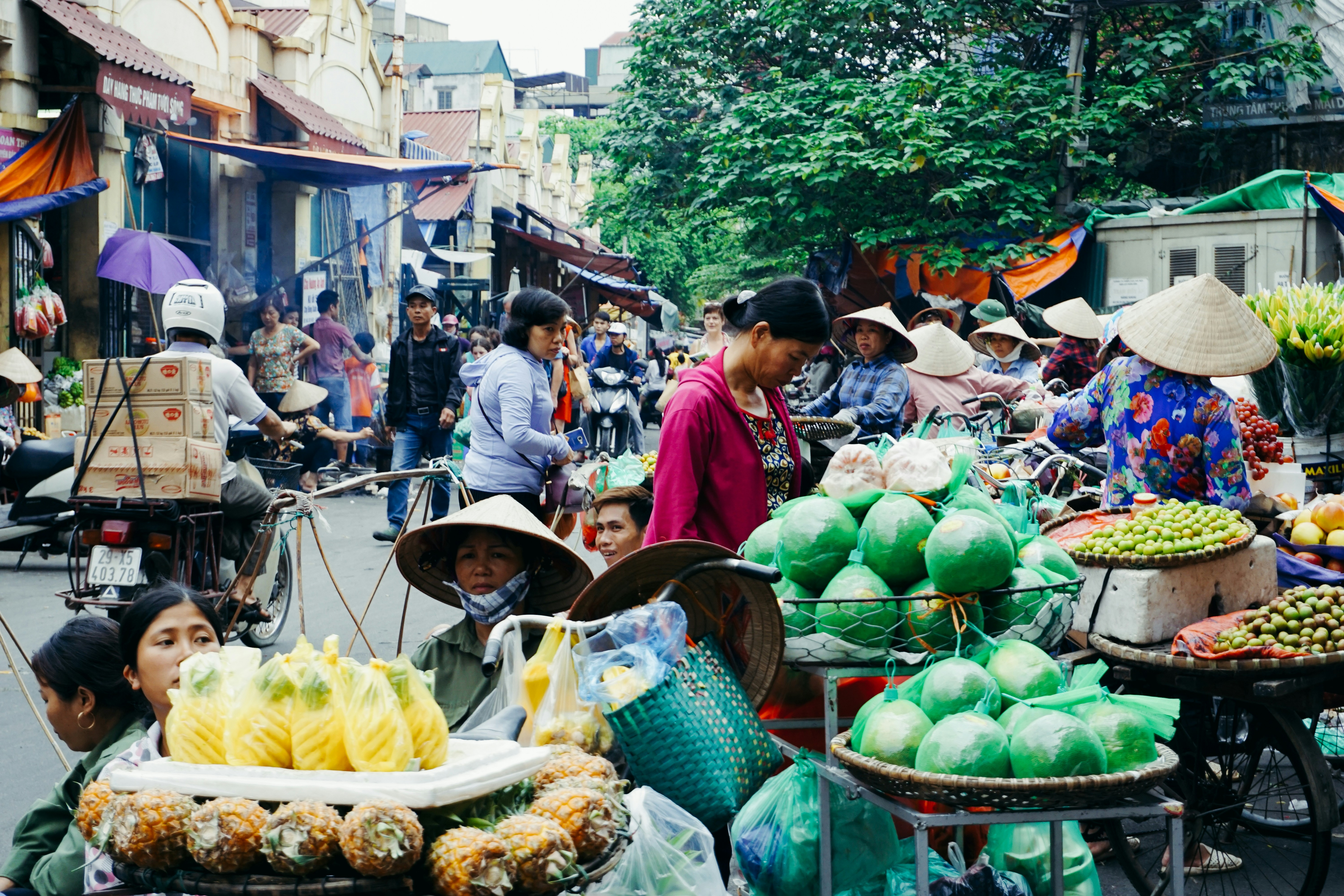 Experience Asia's History Through Travel: Japan, Vietnam & South Korea