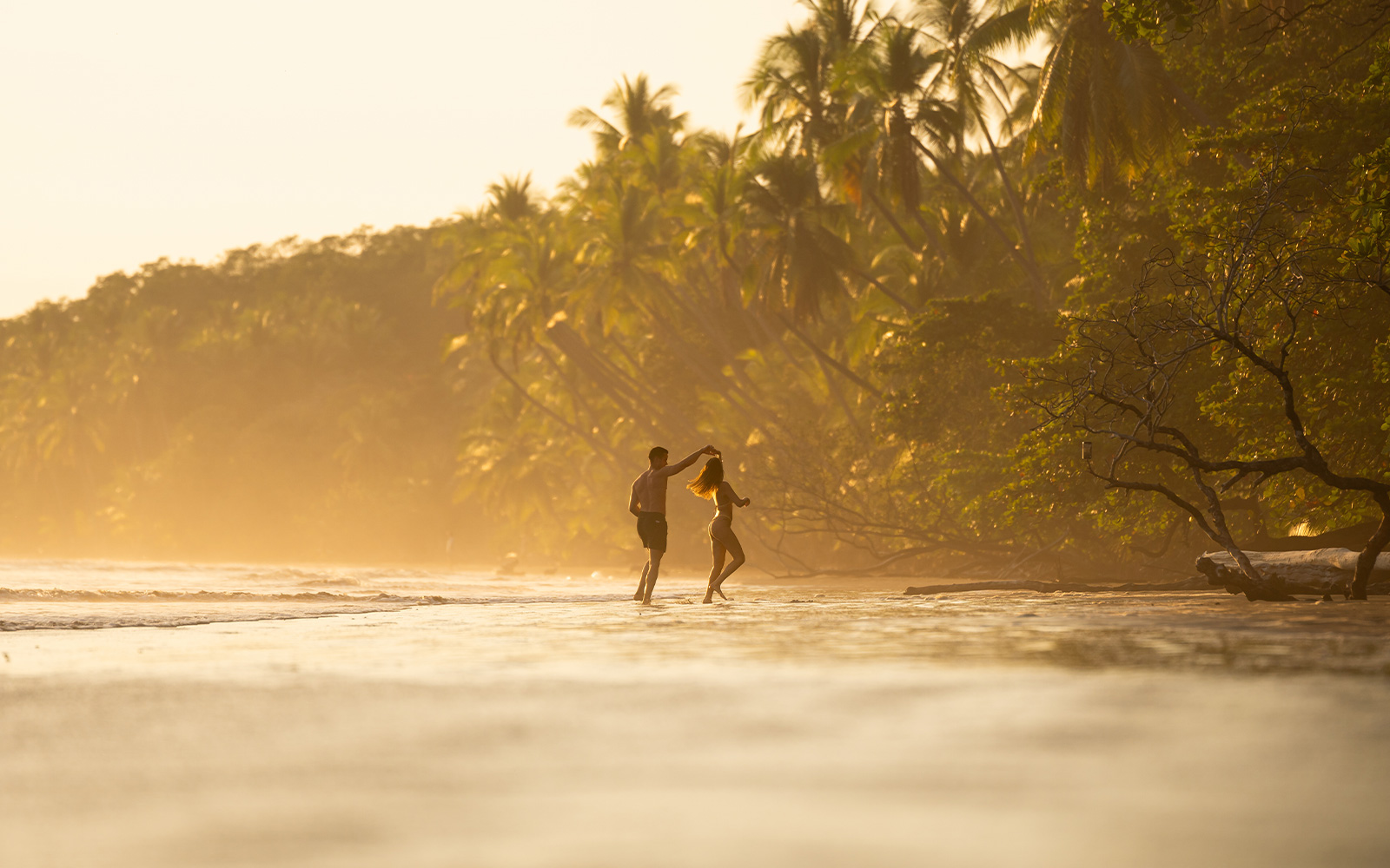 Earn toward Medallion® Status with One More Vacation Before the End of the Year