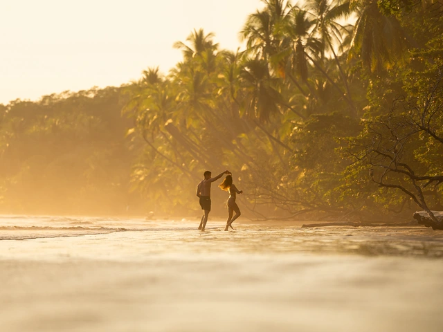Earn toward Medallion® Status with One More Vacation Before the End of the Year