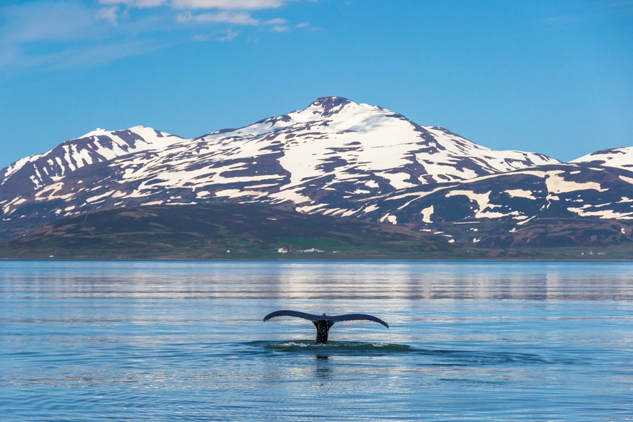 September 24 - Reykjavic - Akureyri