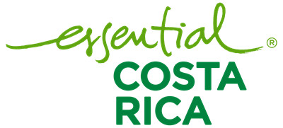 Costa Rica: Immerse Yourself in the Pura Vida Way of Life