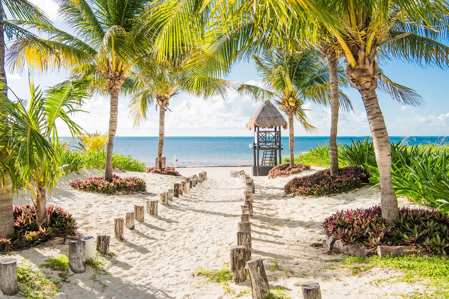 Beach Banner