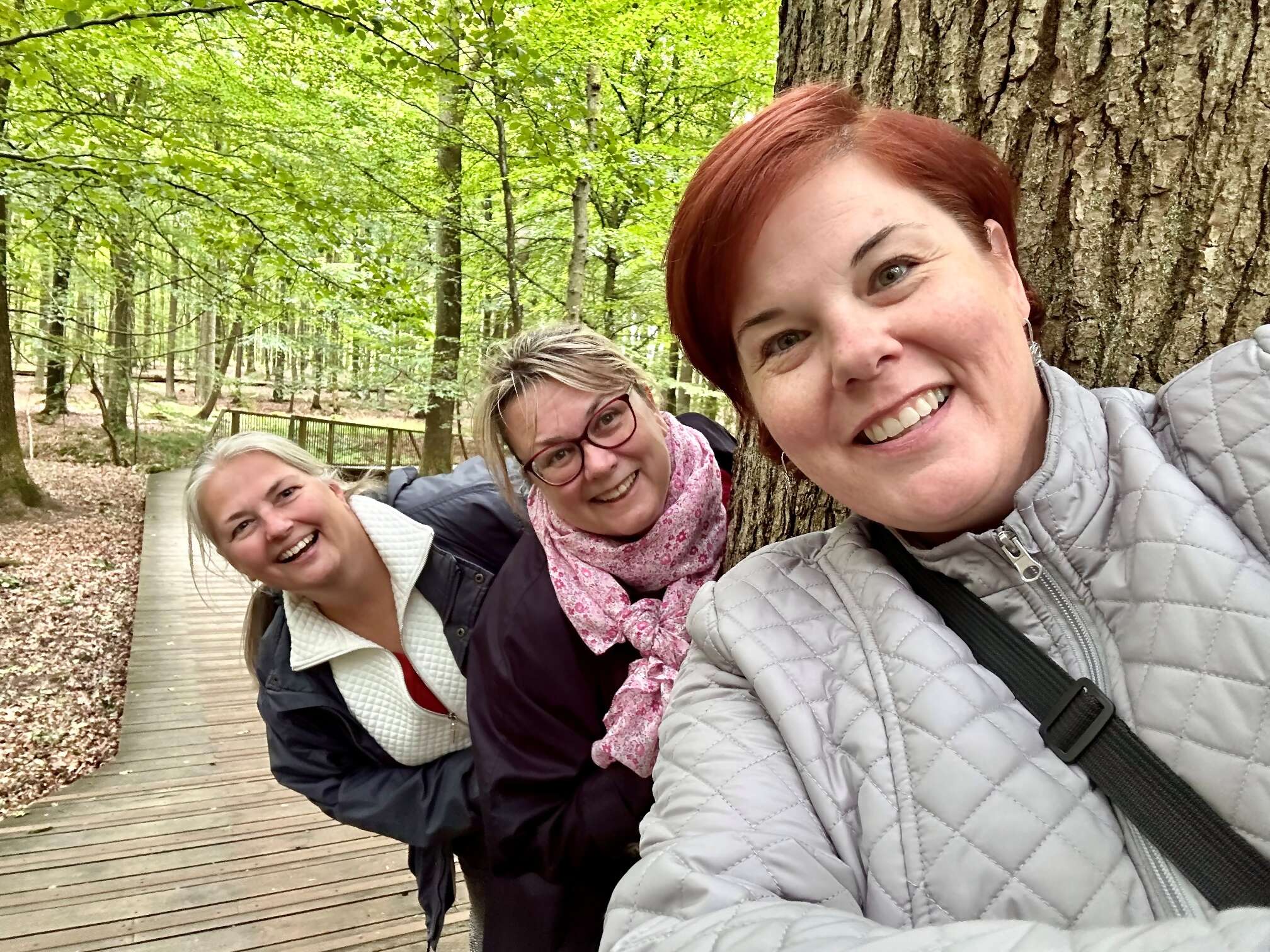 Stockholm and Copenhagen with Lisa Knotts