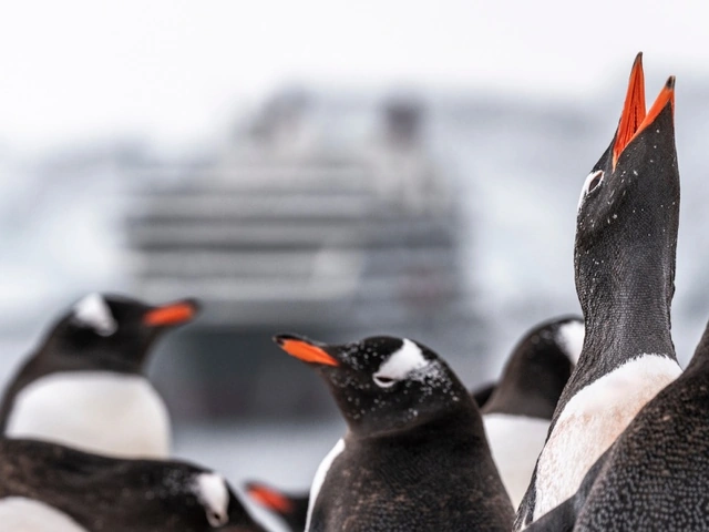 Where do Expedition Cruises Sail? And Where Will You be Able to Go Next?