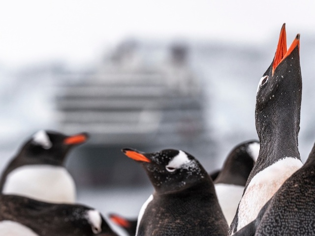 Where do Expedition Cruises Sail? And Where Will You be Able to Go Next?