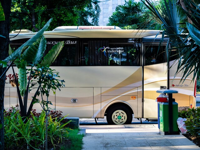 Sustainable Sips - Are Bus Tours Really Helping the Environment?