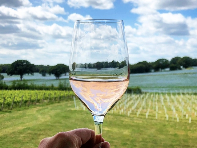 Private Wine Tour of Kent