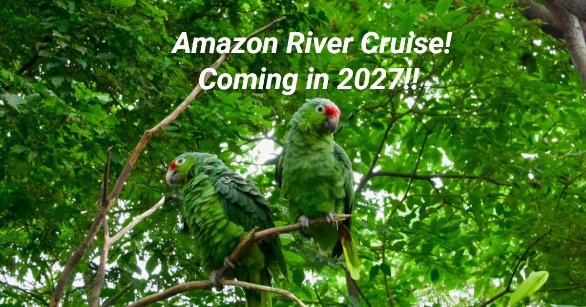 Cruising the Amazon  - Coming in Fall 2026 or Early 2027 Dates TBA