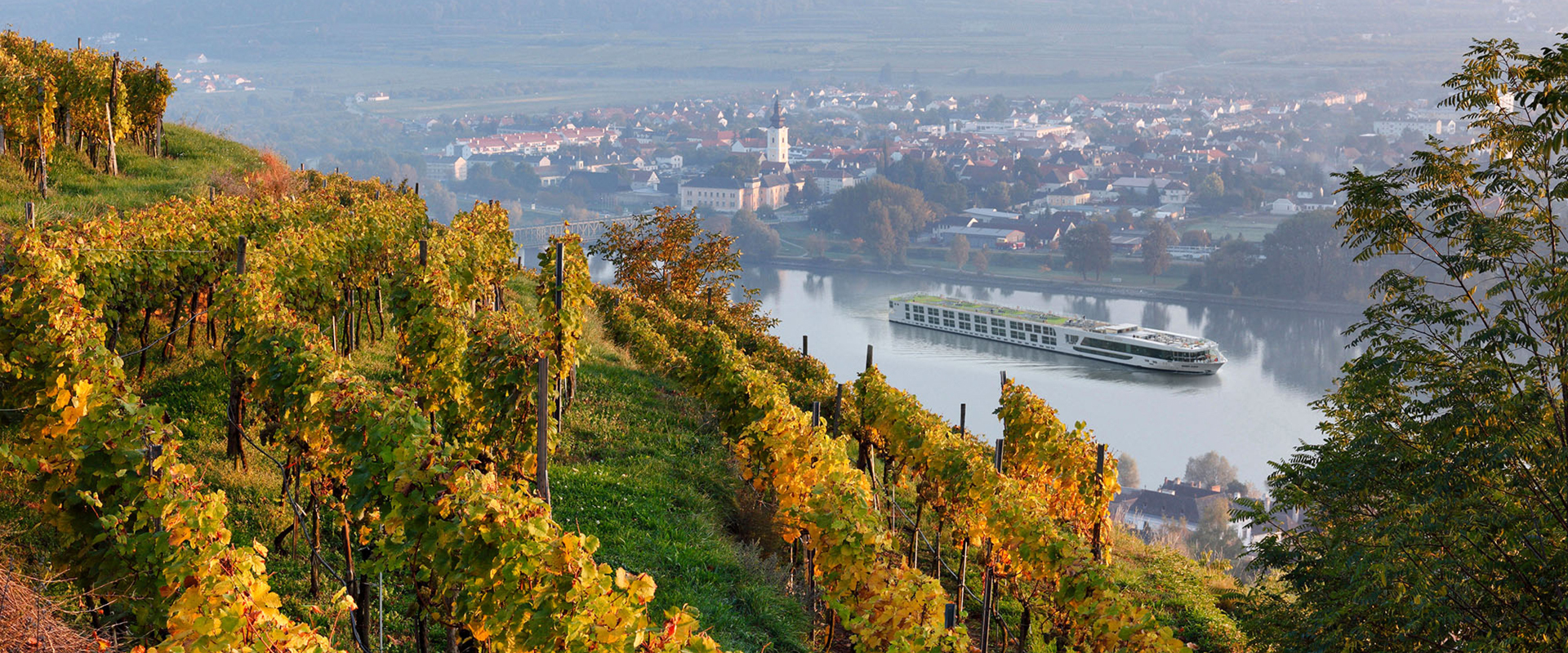 Wine-Centric Journeys Through Europe