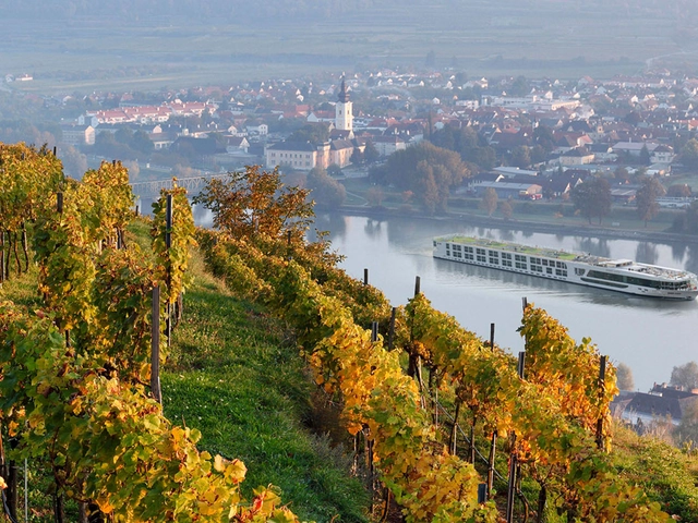 Wine-Centric Journeys Through Europe