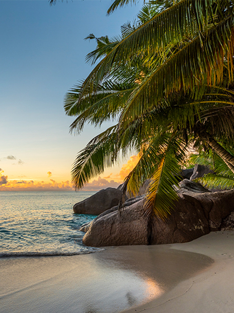 Where To Stay For All-Inclusive Access To 7 Of The Caribbean’s Prettiest Beaches