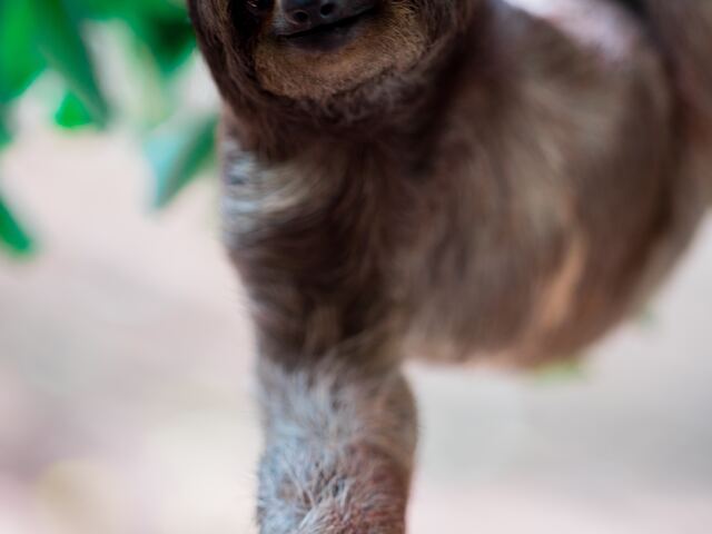 How to pack for your trip to Playa Blanca Panama