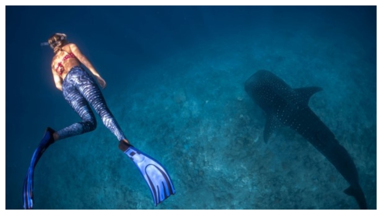 Swan Hellenic unveils thrilling 2026-2027 Raja Ampat diving expeditions