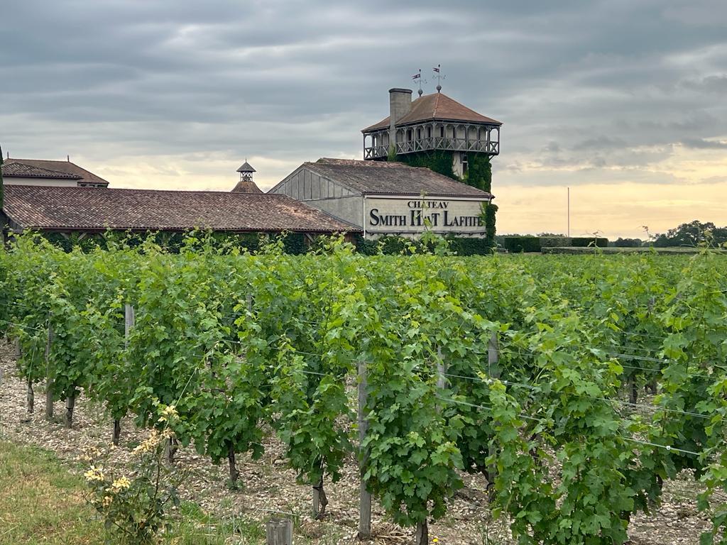 Bordeaux Châteaux Route