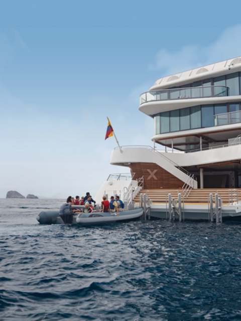 Feel Like Darwin Himself -  With A Twist