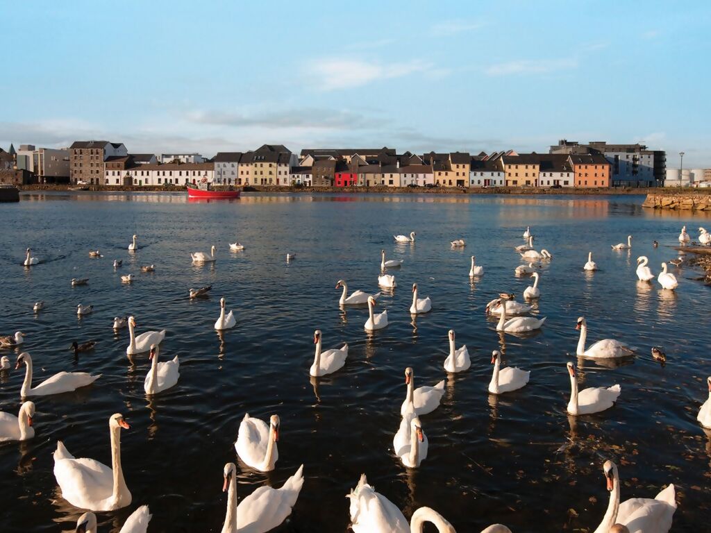 CIE Tours 2025 Early Bird Discount