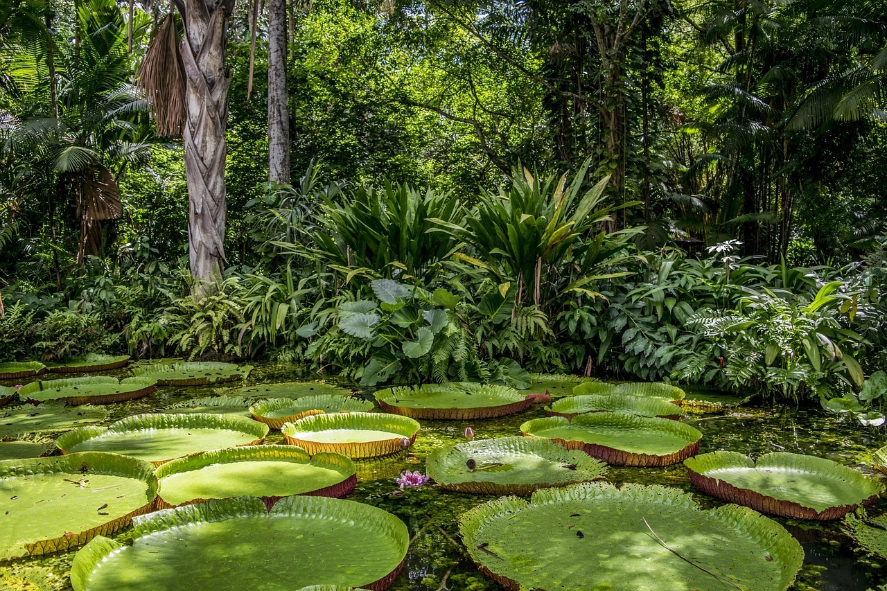 Secrets of the Amazon River