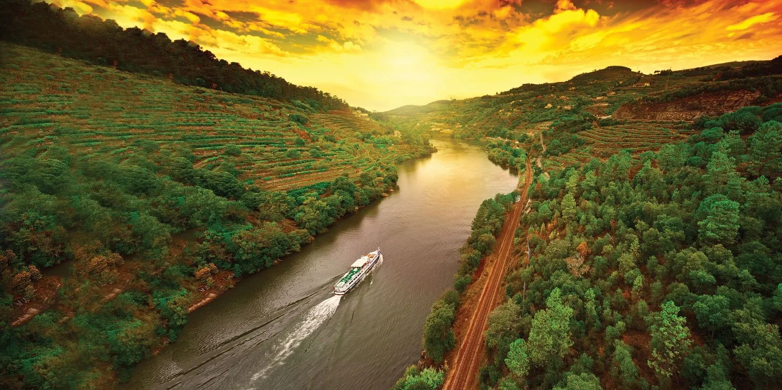 Riviera Rose and the Douro River