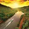 Riviera Rose and the Douro River