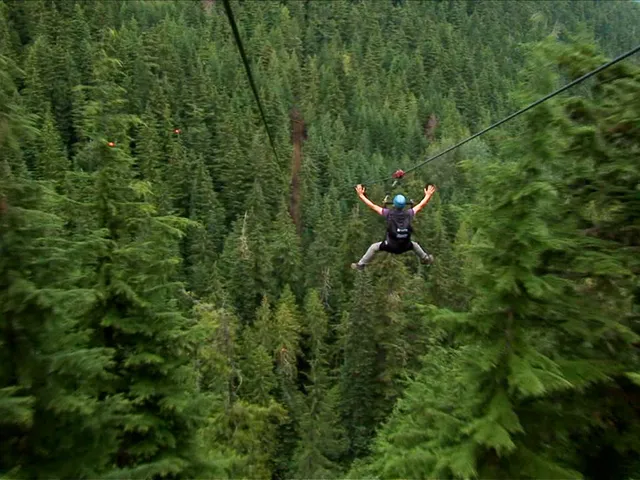 Video: A Glimpse of the WildPlay Elemental Parks Network