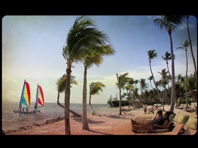 Video: Eclipsing Discovery That Awaits You In The Florida Keys