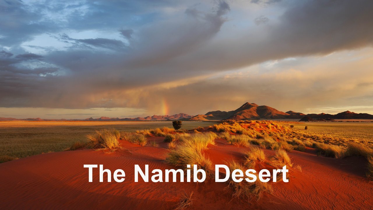 Namib Desert - Time Lapse and Wildlife Photography