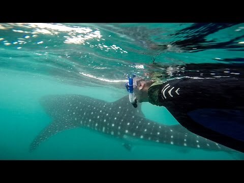 Baja California Sur: Exotic Just Got a Whole Lot Closer