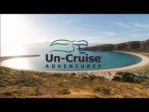 Island Hopping the Sea of Cortez with Whales, Turtles, Whale Sharks and More