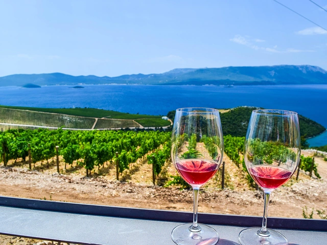 Wine Travel