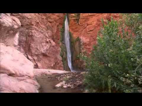 Grand Canyon In Depth - More Than A View