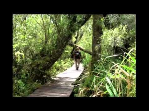 Chiloe Island Chile - Pure Travel Magic