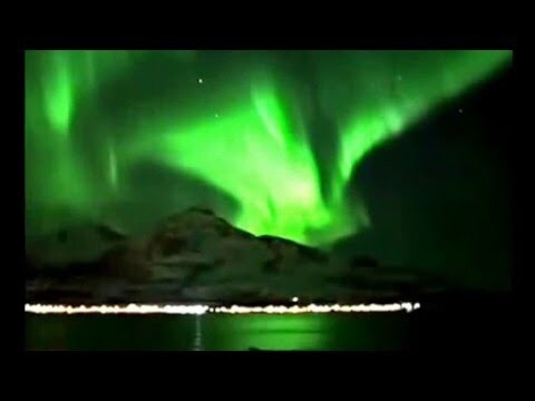 Humpback Whales Play Under the Northern Lights