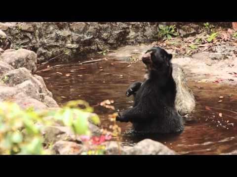 Inkaterra Machu Picchu Pueblo Hotel
