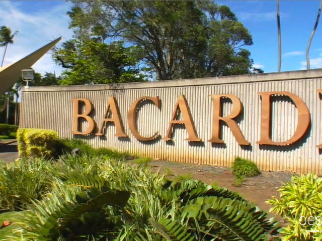 Bacardi Tour and Daiquiri Rum Cocktail, Puerto Rico