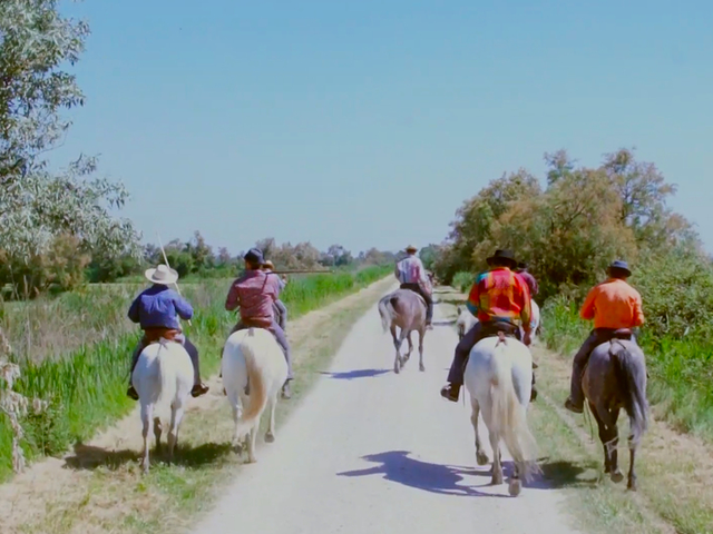 Cowboys in the Camargue