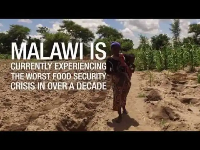 MSC Cruises, UNICEF Partnership Feeds 67,000 Needy Children and Their Families